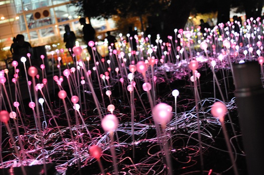 Take in the Sight of Discovery Green's Field of Light